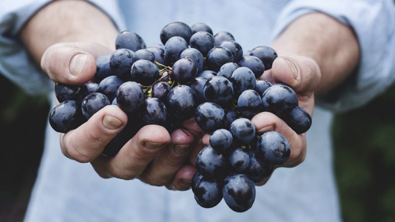 Hani më shumë nga ky frut popullor për të shëruar zorrët dhe ulur kolesterolin