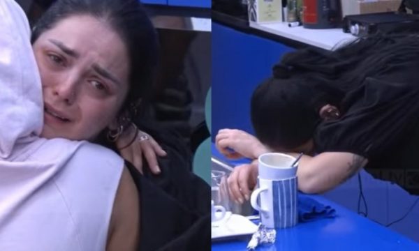 Fifi qan sërish, kjo është arsyeja