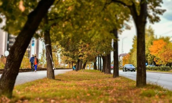 Kështu do të jenë temperaturat në ditën e zgjedhjeve