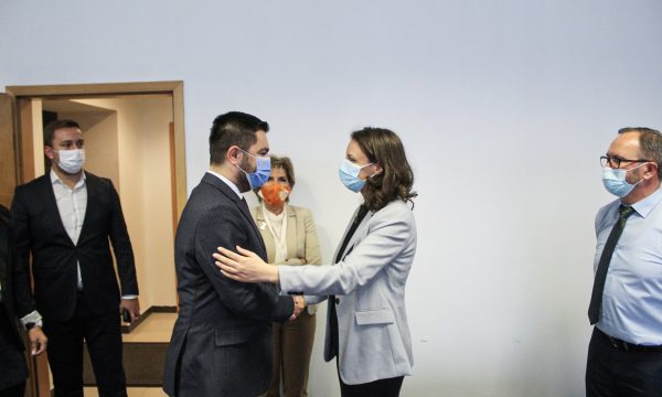 Kosova ka nisur negociatat me Maqedoninë e Veriut për t’ia shitur 3 milionë tonë thëngjill