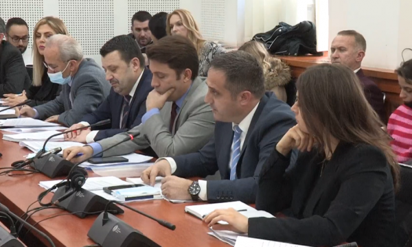 Selmanaj: Danimarka heziton për liberalizimin e vizave, s’duhet të importojmë kriminelë