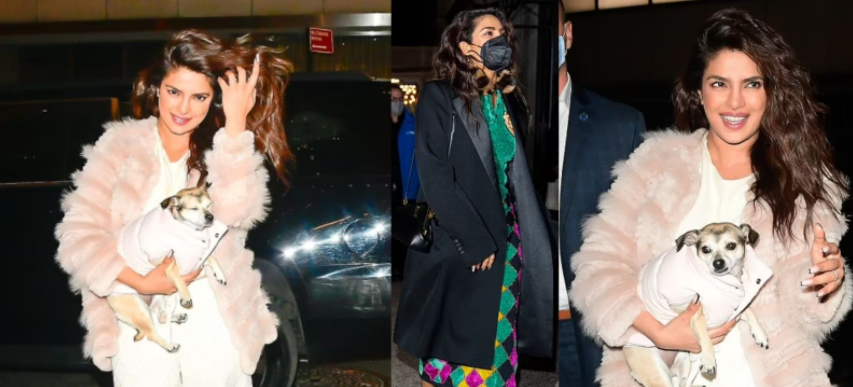 Priyanka Chopra shkëlqen me dukjen teksa del për darkë në restorantin indian