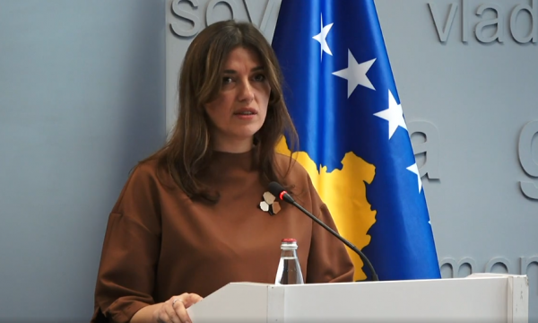 Haxhiu për Ligjin kundër dhunës në familje: Strategjia e miratuar nuk duhet pasur fatin e strategjive të kaluara