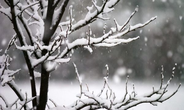 Parashikimi i motit për nesër