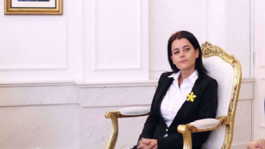 Plumbi qorr depërtoi në shtëpinë e Vasfije Krasniqit, ngjarja ndodhi në Amerikë