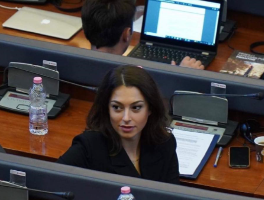 Deputetja Doarsa Kica-Xhelili ka një thirrje për miqtë ndërkombëtar pas miratimit të rezolutës