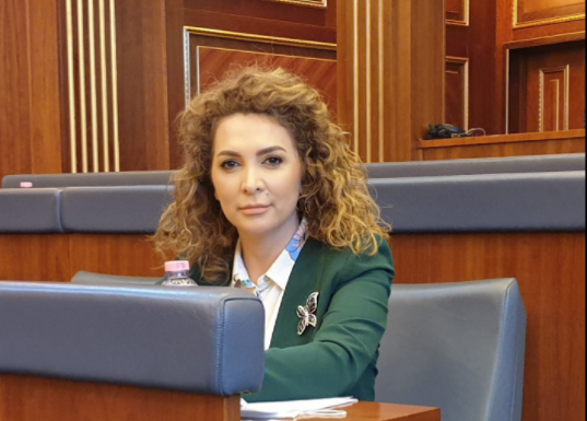Reshitaj propozon që të bëhen teste rapide falas në pikat kufitare