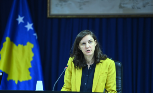 Rizvanolli mban takim koordinues me Shoqërinë Civile për Strategjinë e Energjisë