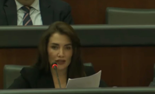 Musliu- Shoshi: Çështja e energjisë është çështje e sigurisë kombëtare, po favorizohet i forti në kurriz të qytetarit