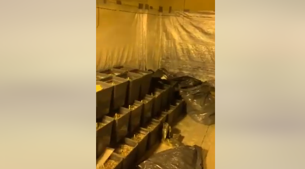 Sveçla thotë se Policia sot zbuloi një laborator droge në veri të Mitrovicës, publikon pamjet brenda tij