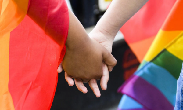 Edhe një parti tjetër kundër martesave të gjinisë së njëjtë