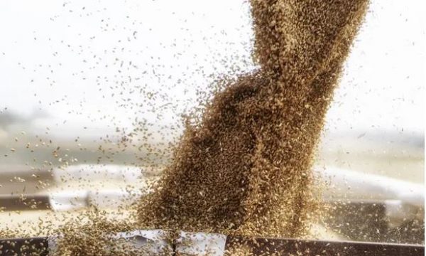 Studimi: Rritet numri i miliarderëve dhe pabarazia ekonomike