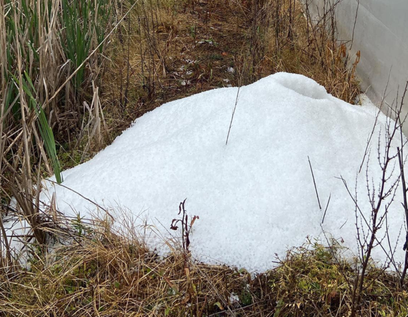 Breshëri i madh, shkatërron të mbjellurat në Lipjan (FOTO)