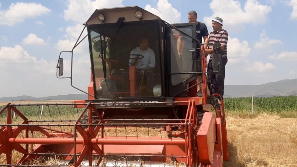 Kanë filluar korrje shirjet e drithrave të bardha në Komunën e Lipjanit