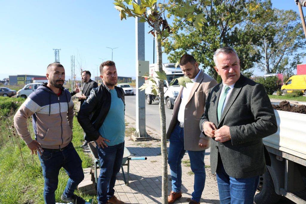 Komuna e Lipjanit “Mbi 400 drunjë dekorativ në hapësirat publike të Lipjanit”