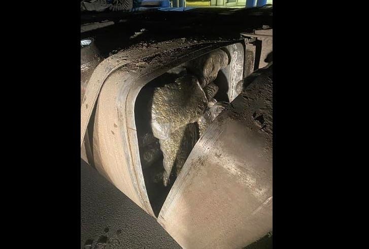 Kapen 107 kg drogë në kamionin me targa të Serbisë në terminalin doganor në Prishtinë