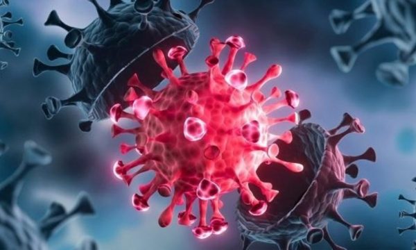 42 raste aktive me koronavirus në Kosovë