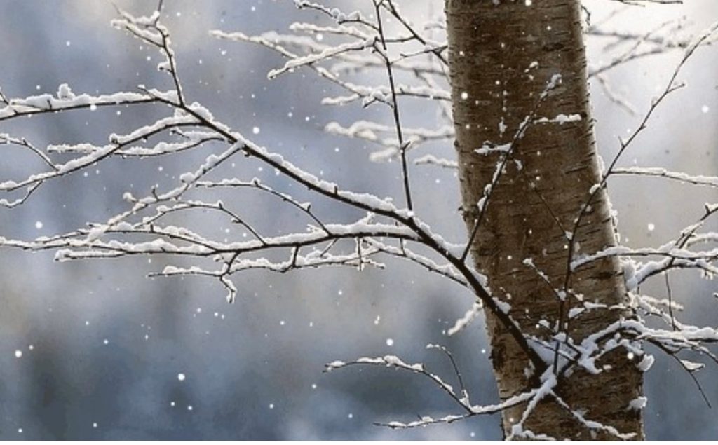 Moti sot, temperaturat deri në -11 gradë