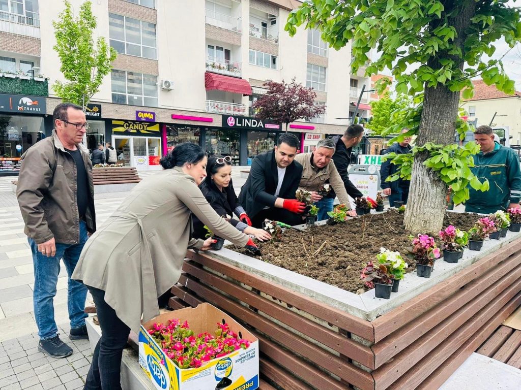 Ka filluar mbjellja e luleve dekorative në hapësirat publike në qytetin e Lipjanit
