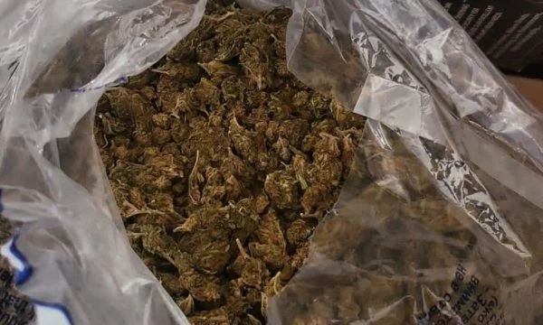 Policia kap 10 kg marihuanë që ishte e destinuar për Turqi, arreston një kosovar e një turk