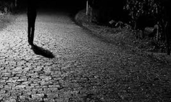 Nipi raporton se daja i tij është zhdukur