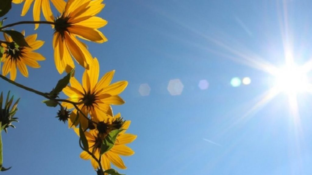 Java nis me temperatura pranverore