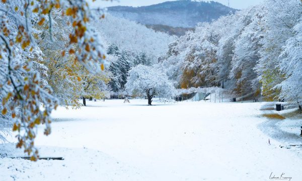 “Magjia dimërore”, Rama publikon pamje nga Parku i Gërmisë