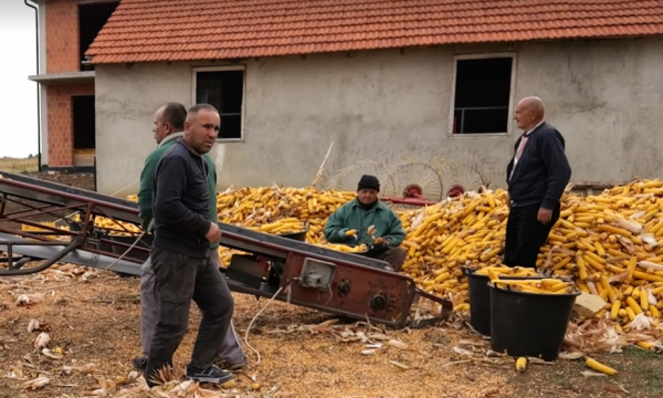 6 vëllezërit nga Ferizaj që mbajnë familjen e madhe, punojnë tokën dhe refuzojnë ta braktisin Kosovën