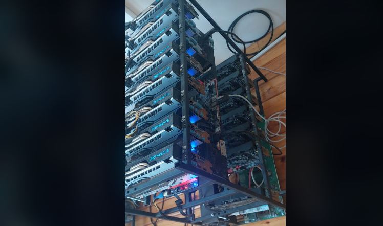 Policia konfiskon 59 riga në Mitrovicë të Veriut (VIDEO)