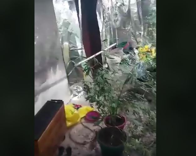 Shkatërrohet një laborator i drogës në Leposaviq, arrestohet një person