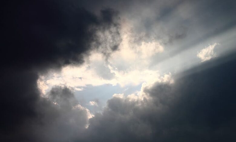 Mot i vranet dhe me shi