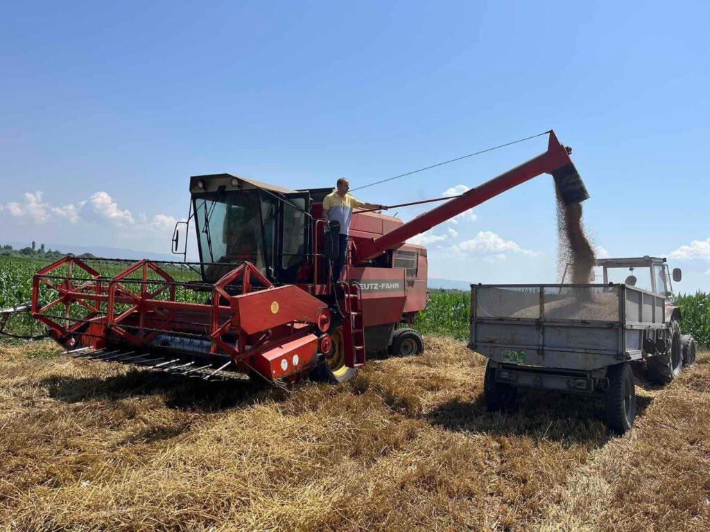 “Viti 2024 është viti më i mirë për fermerët e komunës së Lipjanit”