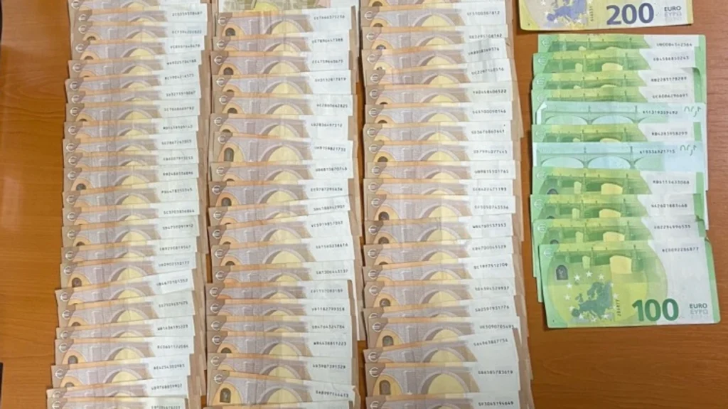 10 mijë euro të padeklaruara në Vermicë, konfiskohet një pjesë e saj