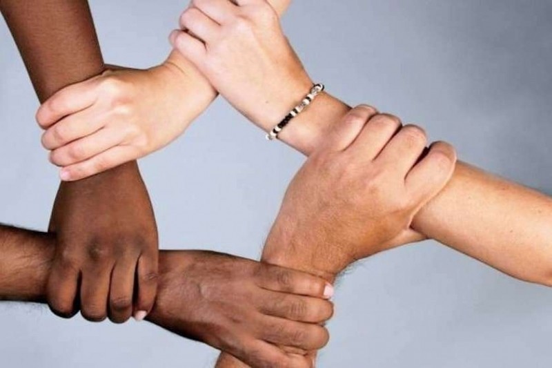 Institucionet dhe shoqëria civile bashkohen kundër diskriminimit racor