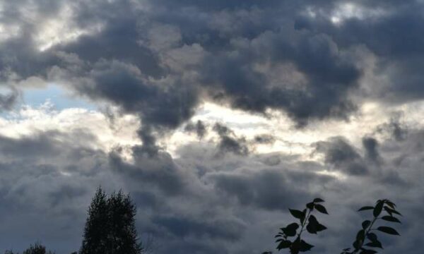 Vranët e shi në fundjavë