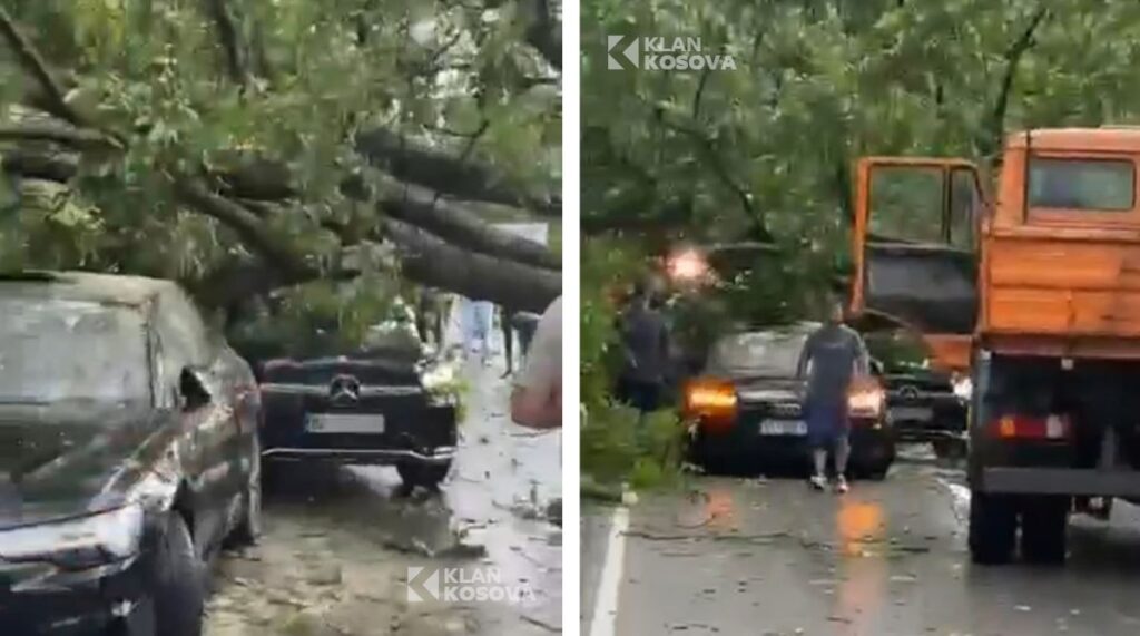 Erërat e forta rrëzuan lisin mbi dy vetura në Brezovicë, policia jep detaje