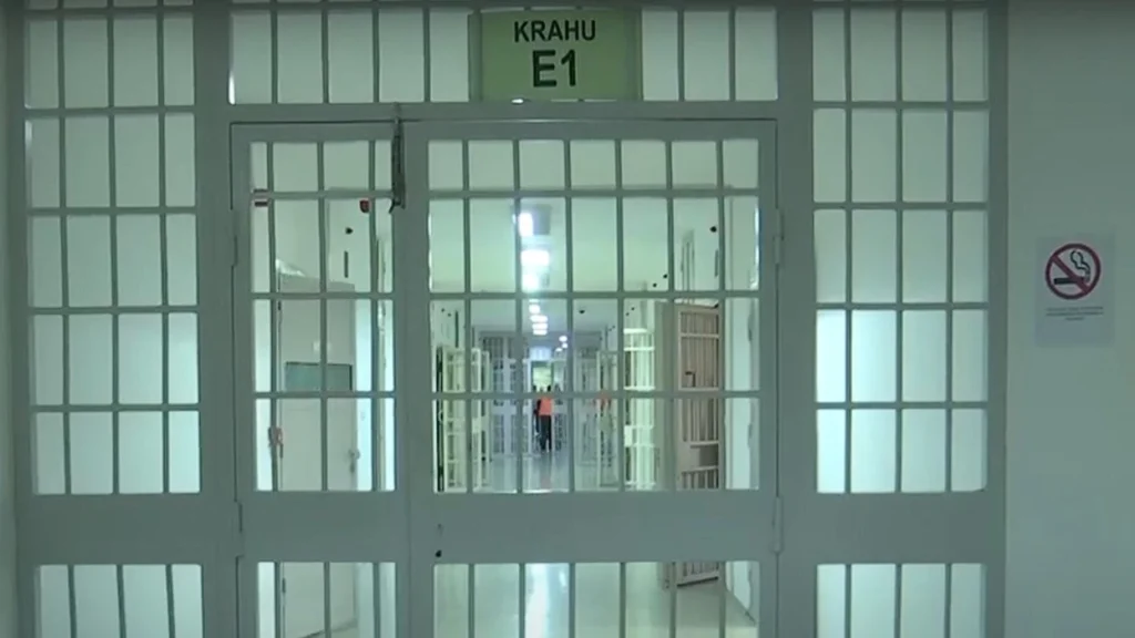 Kultivim i kanabisit në Isniq, Prokuroria kërkon paraburgim për një të dyshuar dhe arrest shtëpiak për tjetrin